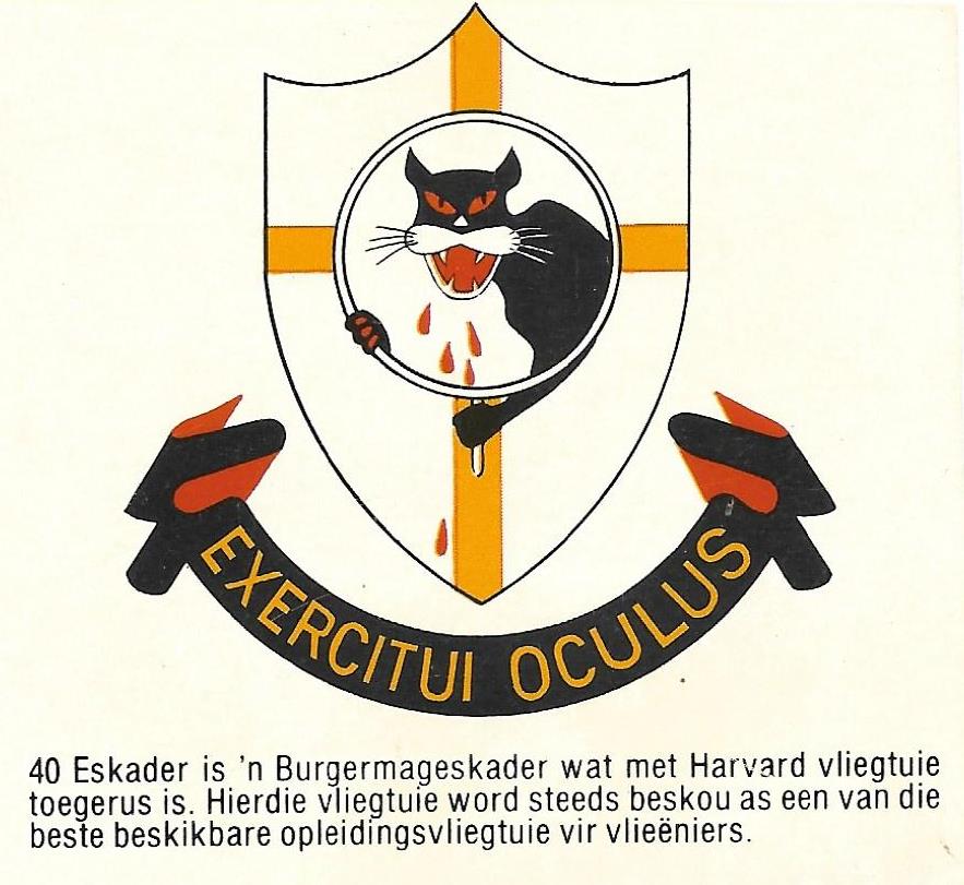 6099 South African Air Force 40 Squadron jacket patch, WW2 (C213) - Image 3