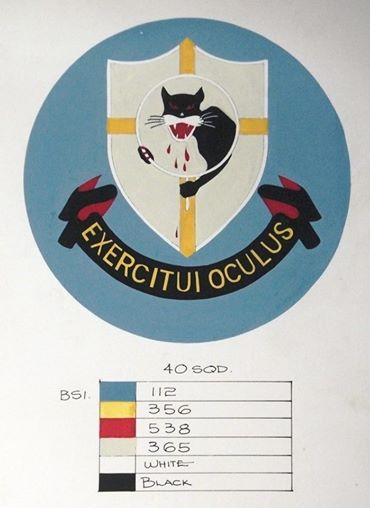 6099 South African Air Force 40 Squadron jacket patch, WW2 (C213) - Image 5