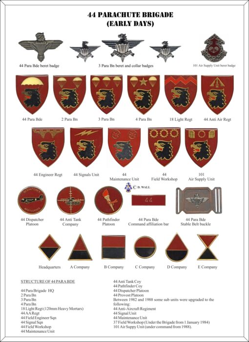 10962 South African 3 Parachute Battalion arm flashes, 1st issue, red (F5-F6) - Image 2