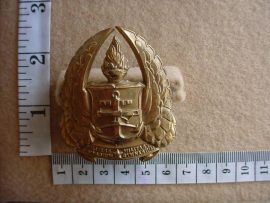 281 South African Army Gymnasium cap badge (CO715)