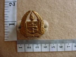 284 South African Army Gymnasium collar badge (CO716)