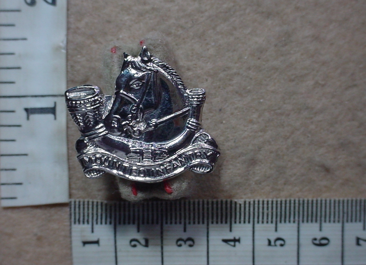 1392 Transkei Mounted Battalion cap badge, Other Ranks (AD1462)