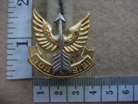 5301 Wemmerpan Commando cap badge (AD167)