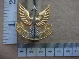 5302 Wemmerpan Commando cap badge, Silver and numbered (AD167)