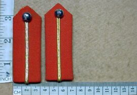 4707 South African Army Colonel to Brigadier rank gorget collars (AD1832)