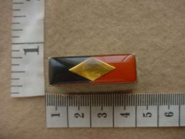 6010 SWA Provost - Military Police beret flash (balkie) (DW1 5 56)