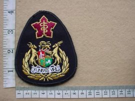 7916 Sergeant Major of the South African Medical Service rank badge (AD2153)