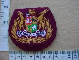 3854 South African Medical Services Regimental Sergeant Major rank badge (AD2154)