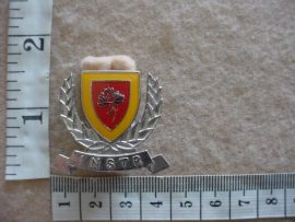 1832 SA Army Women's College Instructor (AD346)