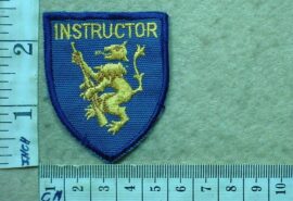 8345 South African Police Instructor arm flash (AD3478)