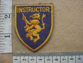 8330 South African Police Instructor arm flash (AD3478)