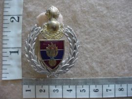 91 South African Army School of Engineers cap badge (AD356)