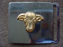 9510 Transkei Army Officers stable belt buckle (AD4098)