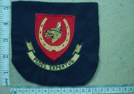 11002 12 South African Infantry blazer badge (AD5409)