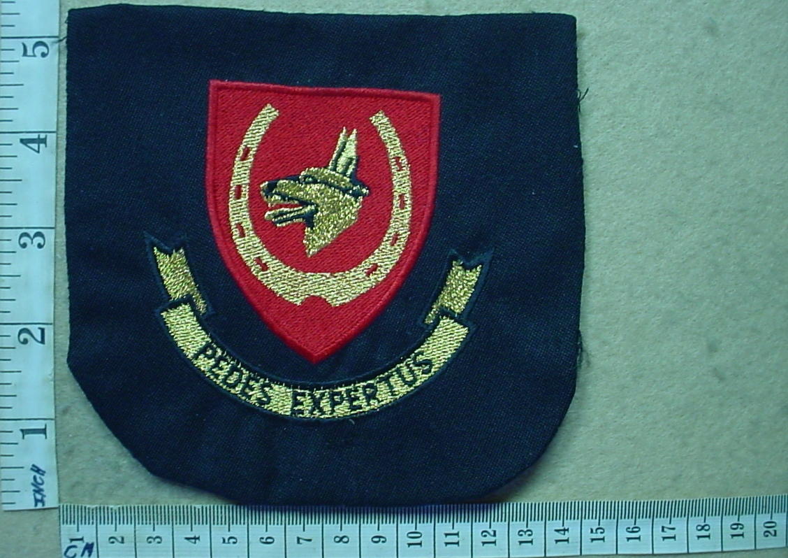 11002 12 South African Infantry blazer badge (AD5409)