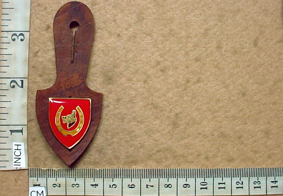 9869 12 South African Infantry affiliation pocket fob badge (AD5409)