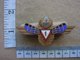 3210 Romanian Air Force Flight Radio Operator / Radar Specialist 1st Class (Army Romania)