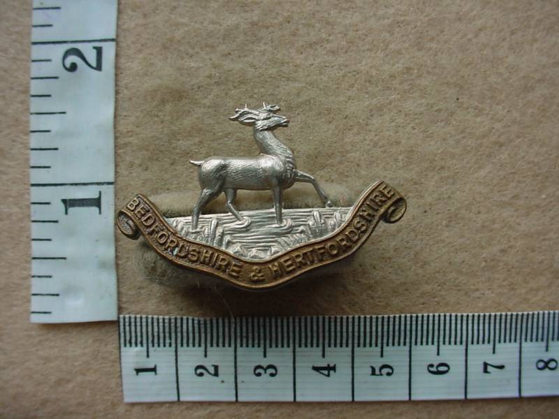 2624 Bedfordshire and Hertfordshire Regiment collar badge (Ref. BACB 171)