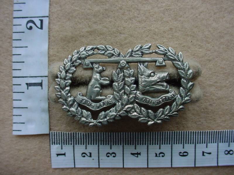 2664 Argyll and Sutherland Highlanders collar badge (Ref. BACB 269)