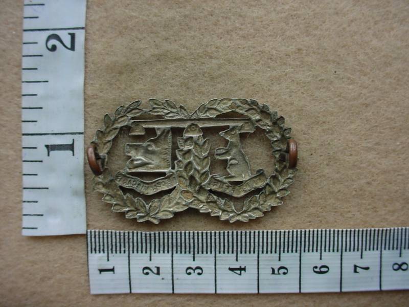 2664 Argyll and Sutherland Highlanders collar badge (Ref. BACB 269) - Image 2