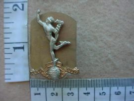 2556 Royal Corps of Signals collar badge (BACB 353)