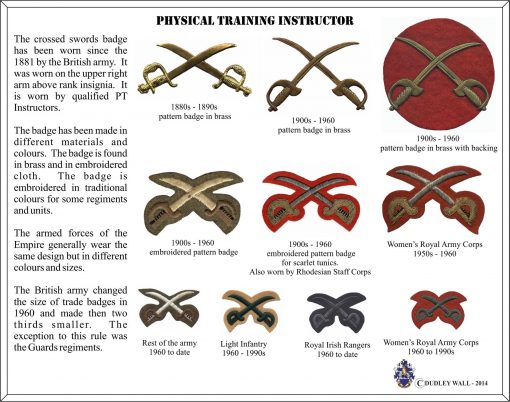 4642 British Army Physical Training Instructor trade badge, PTI (BACI569) - Image 2