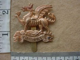 10564 Royal East Kent Regt cap badge (The Buffs) (BBA 154)