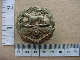 2450 Hampshire Regiment cap badge (Ref. BBA 214)