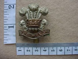 2462 Welch Regiment cap badge (Ref. BBA 219)