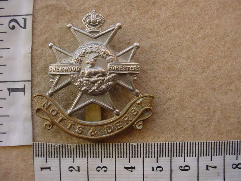 10605 Nottinghamshire and Derbyshire Regiment (Sherwood Foresters) cap badge (Ref. BBA 231)