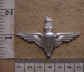 7186 Parachute Regiment beret badge (BBA 258)