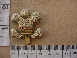 10646 Royal Wiltshire Yeomanry cap badge (Ref. BBA 337)