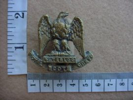 1859 Royal Scots Greys (2nd Dragoons) cap badge (Ref. BBA 80)