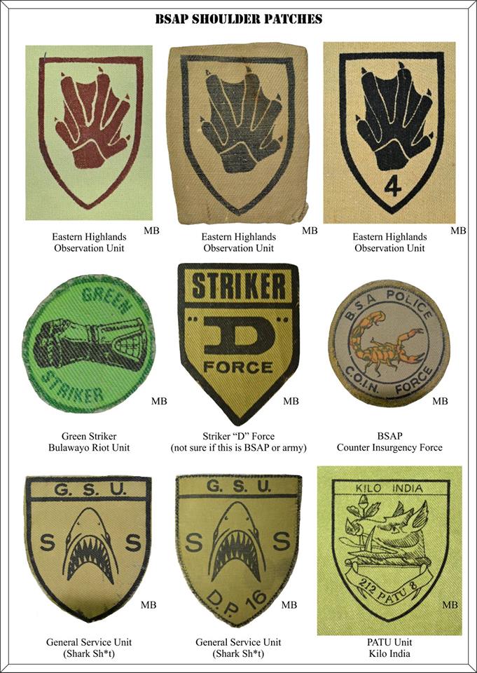 2021 British South Africa Police Green Striker Bulawayo Riot Unit arm patch (C627) - Image 2
