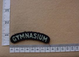 2145 South African Air Force Gymnasium shoulder title (C1071)