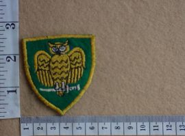 2162 Wynberg Commando arm flash (C1125)