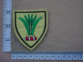 2193 South West Africa Sector 10 Headquarters arm flash (C1128)