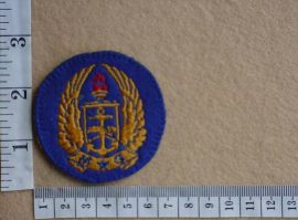 2172 SA Army Gymnasium arm flash (C1135)