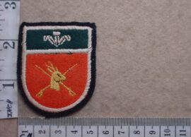 2180 Southern Cape Command arm flash (C1143)