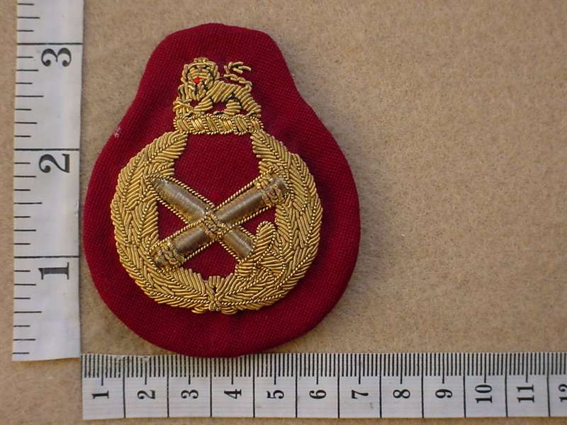 10324 South African Medical Corps Surgeon General cap badge, 1st pattern (C12)