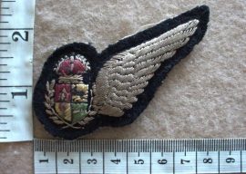 10817 SA Air Force Navigator/Observer wing, WW2 (C132)