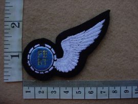 6920 SA Air Force Flight Engineer wing (Ref. C145)