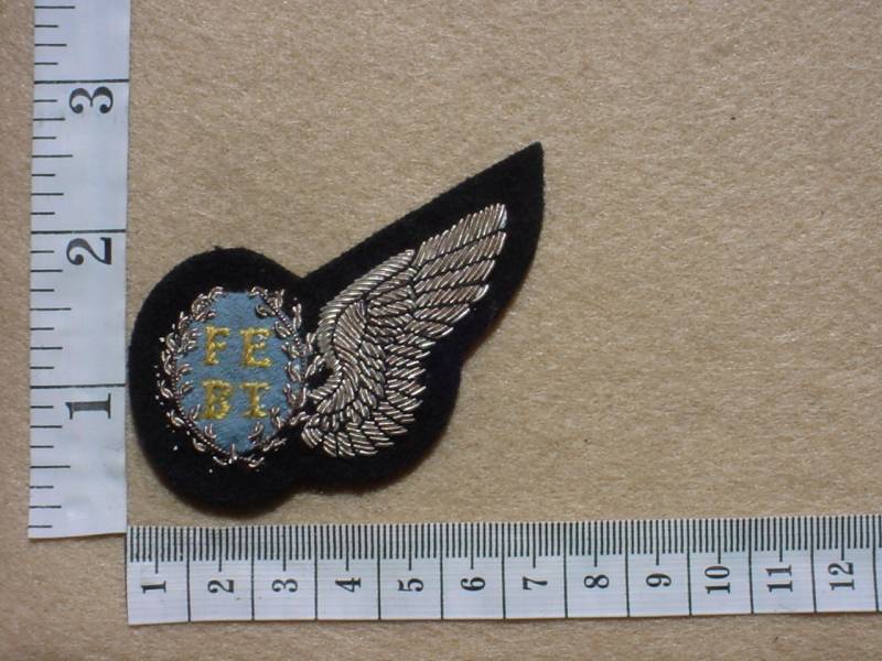 1811 South African Air Force Flight Engineer wing (C148)