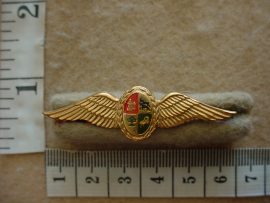 5036 SA Air Force Air Pilot wings (C285)