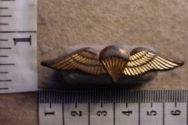3626 South African Army parachute wings, Basic, mess dress (C299)