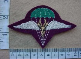 5299 South African 1 Parachute Battalion beret badge, 2nd pattern, Permanent Force (C317)
