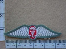 5029 South African Army Free Fall Instructor parachute wings (C328)