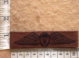 10207 South African Parachute Instructor wings, combat dress, 1st pattern (C331)