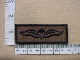 2102 South African Army Parachute wings (C340)