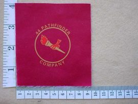 9891 44 Parachute Brigade Pathfinder Company arm flash, 1st pattern (C389)